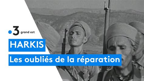 le combat des harkis