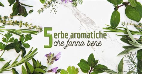 Le Erbe Aromatiche E Le Spezie
