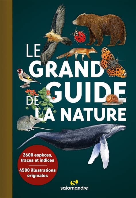 Le Grand Guide De La Grande Bretagne 1989
