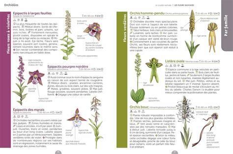 le guide des fleurs de bach