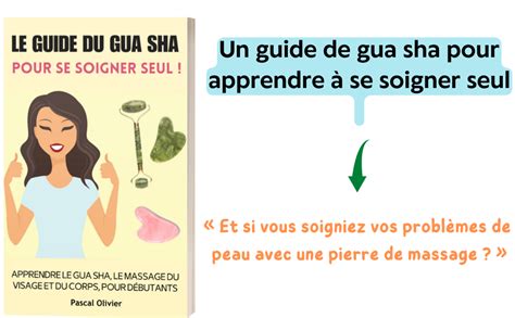 Le Guide Des Gua C Risseurs De Suisse Romande