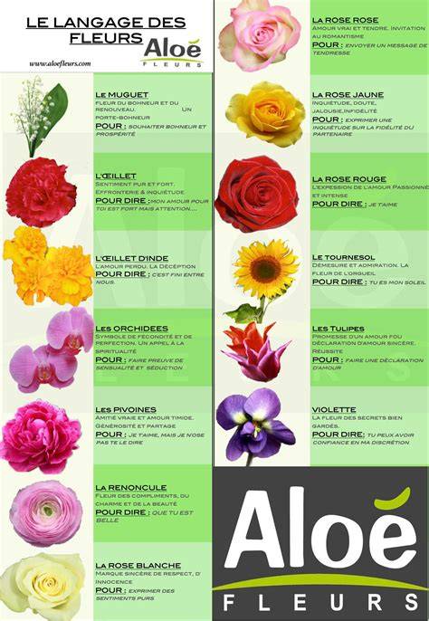 le langage des fleurs