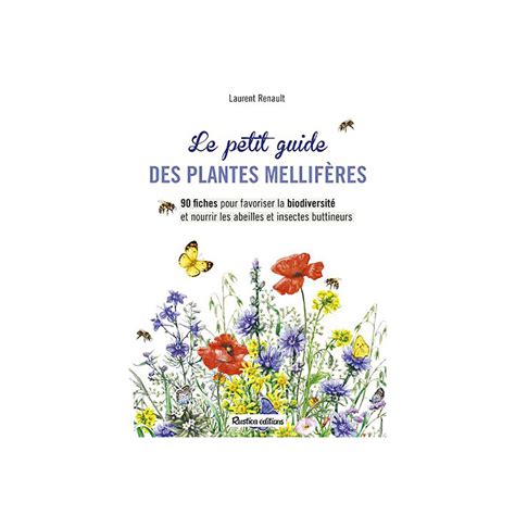le petit guide des plantes sauvages comestibles 7
