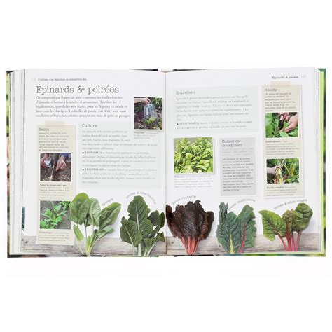 le petit larousse du potager da c butant