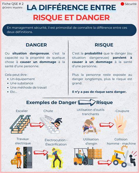le risque et la ra gle le cas du ba timent et des