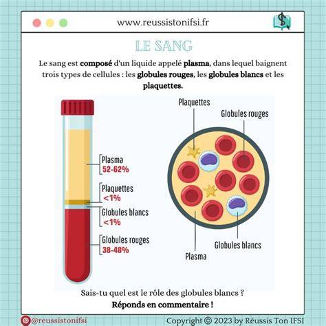 le sang ra c va c lateur de notre inconscient ma