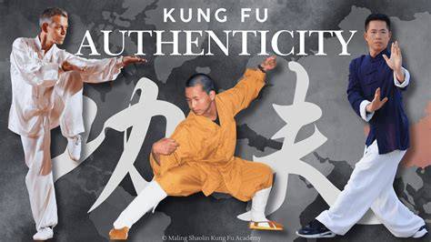 lea ons de kung fu