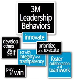 Read Online Leadership Development At 3M Vicere 