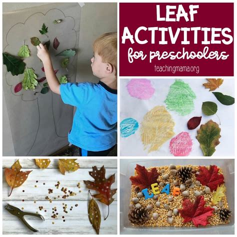 Leaf Activities For Preschool Kindergarten Rocks Resources Leaf Science Activities For Preschoolers - Leaf Science Activities For Preschoolers