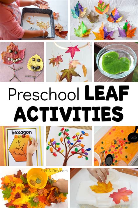 Leaf Activities For Preschoolers Archives Wholeheartedly Sarah Leaf Science Activities For Preschoolers - Leaf Science Activities For Preschoolers