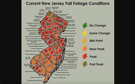leaf color nj
