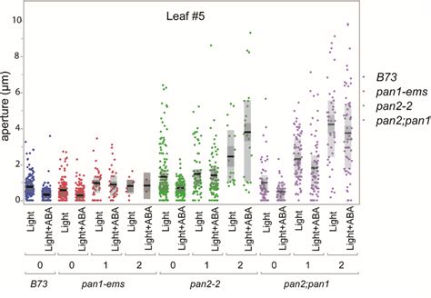 Leaf Genotype Verigation