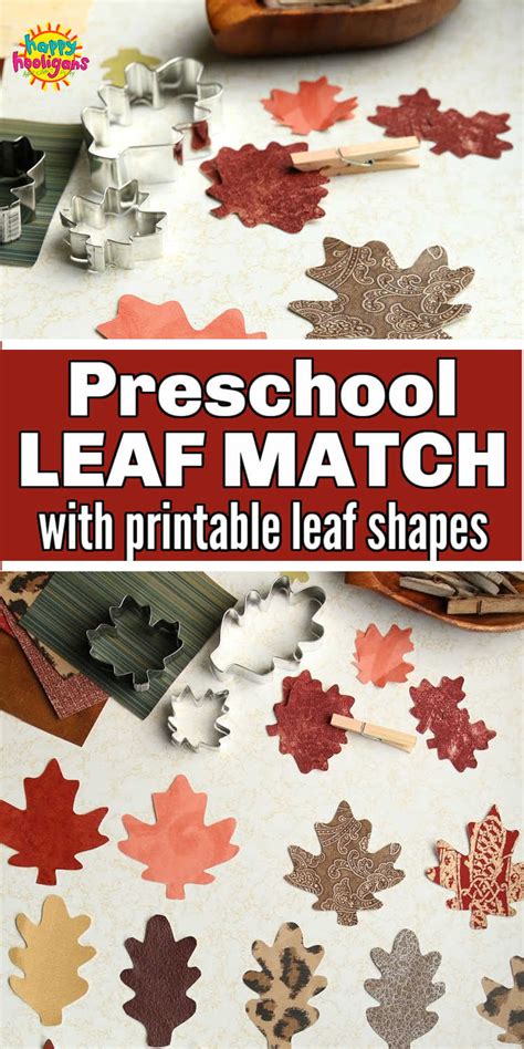 Leaf Matching Activity For Preschoolers Happy Toddler Playtime Matching Activity For Preschoolers - Matching Activity For Preschoolers