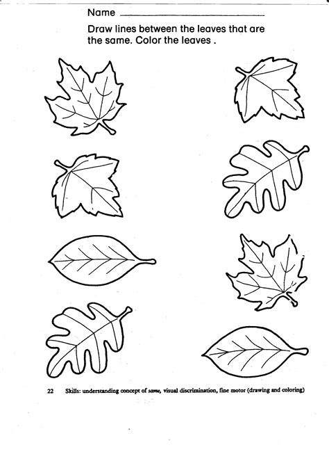 Leaf Matching Activity For Preschoolers Printable Included Matching Activity For Preschoolers - Matching Activity For Preschoolers