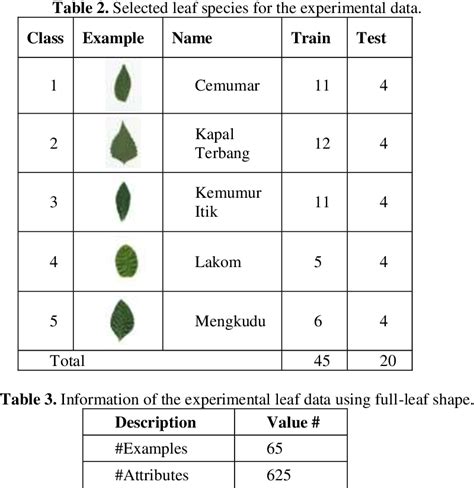 Leaf Shape Feature Extraction Matlab Source Code