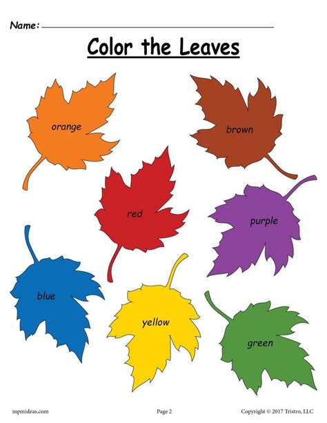 Leaf Sorting Shapes Worksheet Game Sorting Shapes Worksheets For Kindergarten - Sorting Shapes Worksheets For Kindergarten