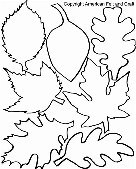 Leaf Templates Amp Leaf Coloring Pages For Kids Leaf Coloring Pages For Preschool - Leaf Coloring Pages For Preschool