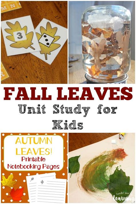 Leaf Unit Study Resources The Homeschool Scientist Science Experiments With Leaves - Science Experiments With Leaves
