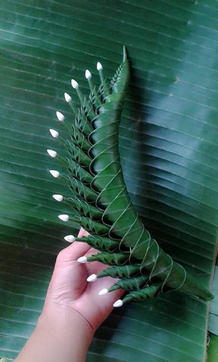 Read Leaf Manipulation Manual And Guide 