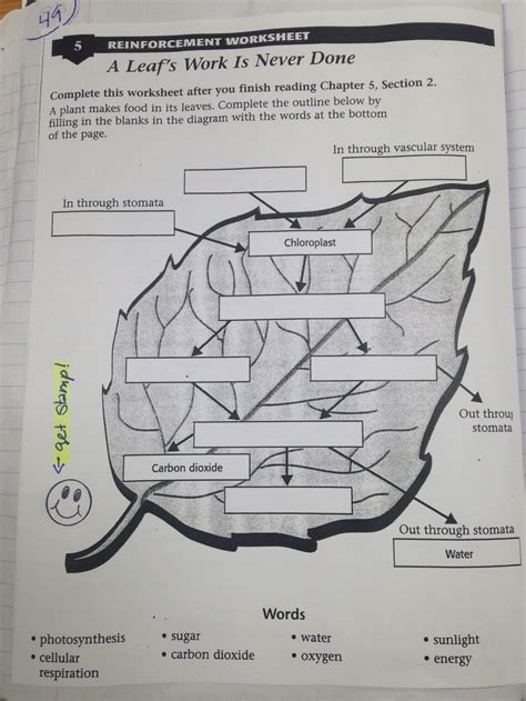 Leafs Work Is Never Done Answer Key