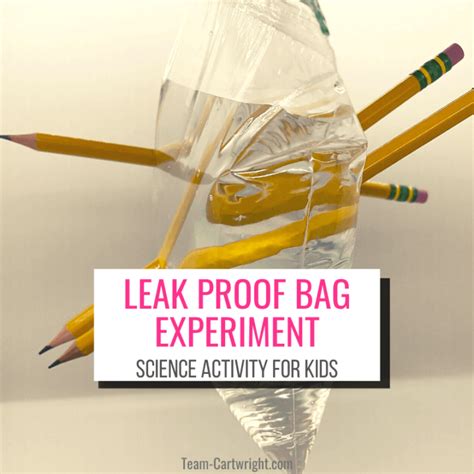 Leak Proof Bag Experiment Science Tricks For Kids Science Trick - Science Trick