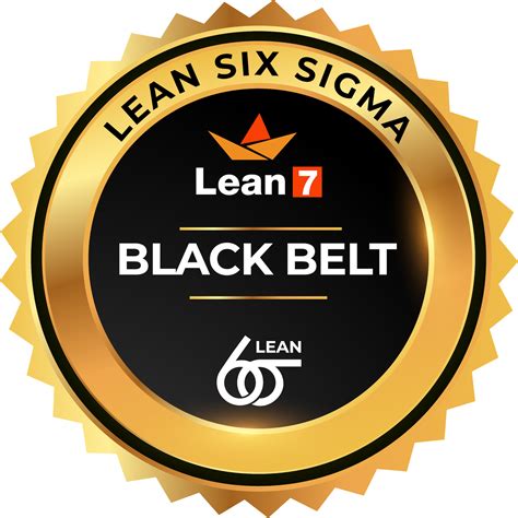 Read Online Lean Six Sigma Black Belt Bok 