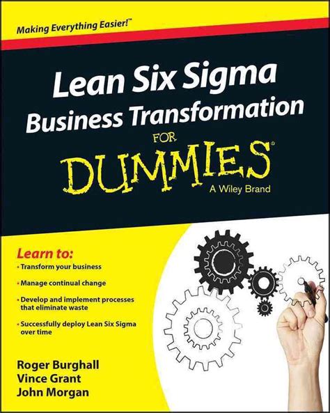 Read Online Lean Six Sigma Business Transformation For Dummies 