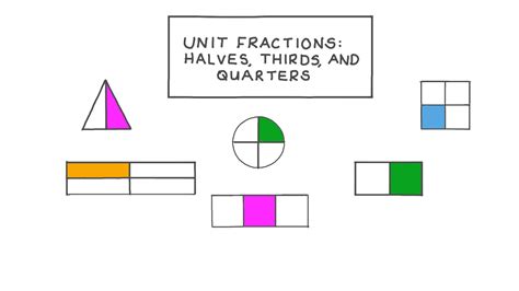 Learn About Fractions Halves Thirds And Fourths Elementary Halves Fractions - Halves Fractions