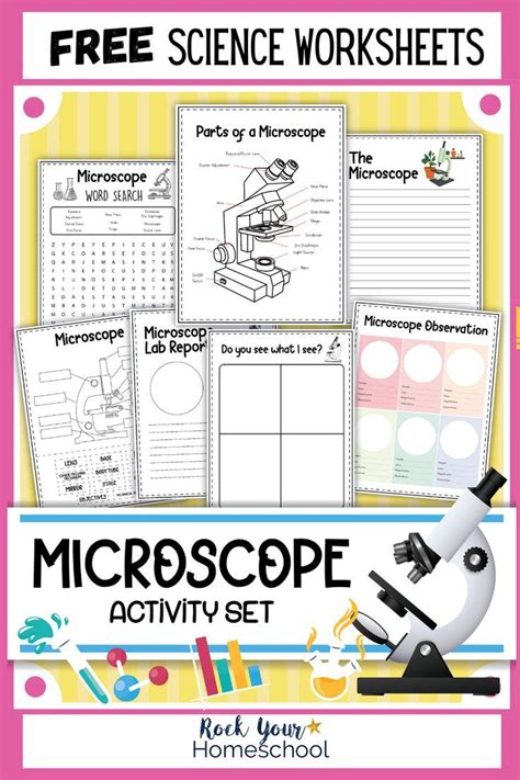 Learn About Microscopes With Fun Free Printables Thoughtco Microscope Practice Worksheet - Microscope Practice Worksheet