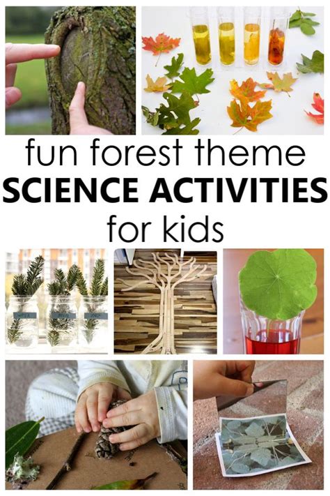 Learn About Trees Amp Forests Science Project Lesson Tree Science - Tree Science