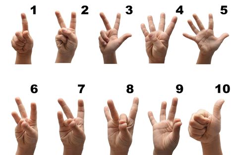 Learn Numbers In Sign Language With This Free Numbers In Sign Language Printable - Numbers In Sign Language Printable