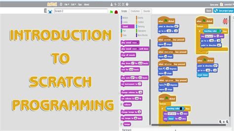 Learn Program Scratch Introduction Programming