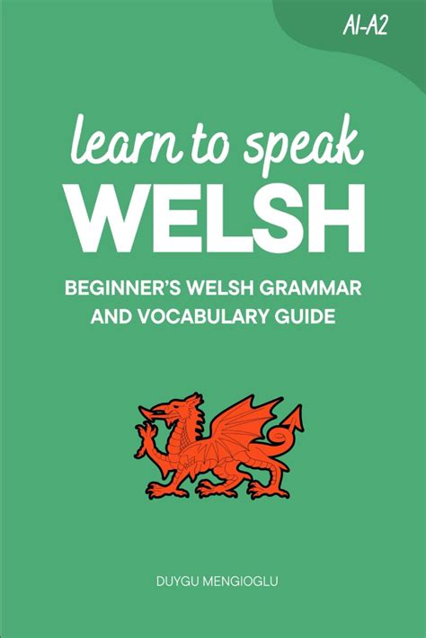 learn welsh now a beginner s guide to welsh engli