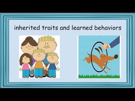 Learned Behaviors Vs Inherited Traits Studyslide Com Inherited Traits 5th Grade - Inherited Traits 5th Grade