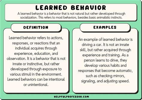 Learned Behaviors Vs Instincts Learning About Animal Behavior Animal Instincts Worksheet 4th Grade - Animal Instincts Worksheet 4th Grade