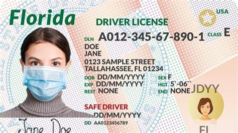learners permit florida