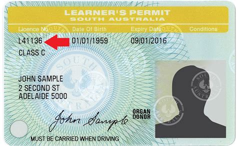 learners permit translation