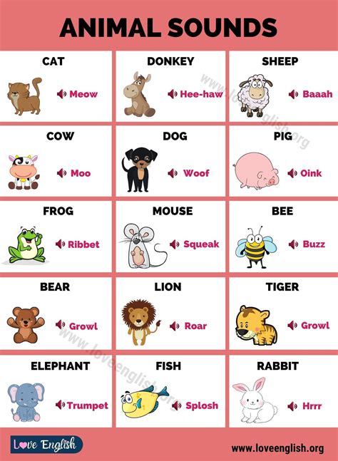 Learning About Animal Sounds Mon Rchu0027s Nature Blog Animal Sounds Writing - Animal Sounds Writing
