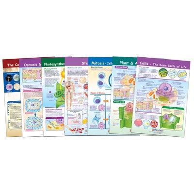 Learning About Cells Dedicatedteacher Com