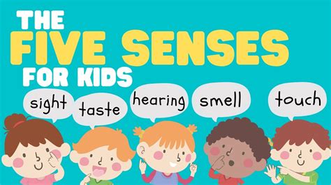 Learning About The Senses Sight Multicultural Motherhood Sense Of Sight For Kids - Sense Of Sight For Kids
