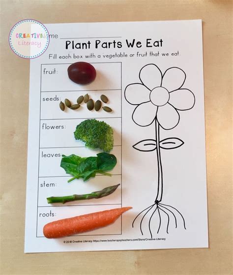 Learning All About Plants In Kindergarten Time 4 Plant Books For First Grade - Plant Books For First Grade