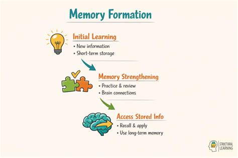 Learning And Memory An Integrated Approach