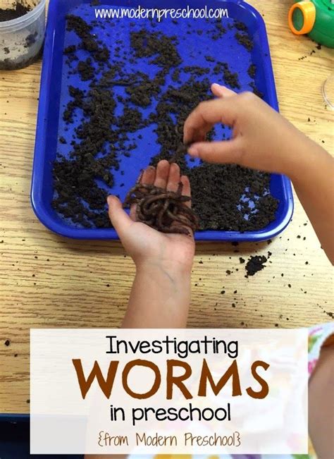 Learning From Worms Science Buddies Blog Science Experiments With Worms - Science Experiments With Worms