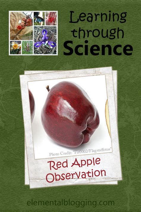 Learning The Color Red Through Science Learning The Color Red - Learning The Color Red