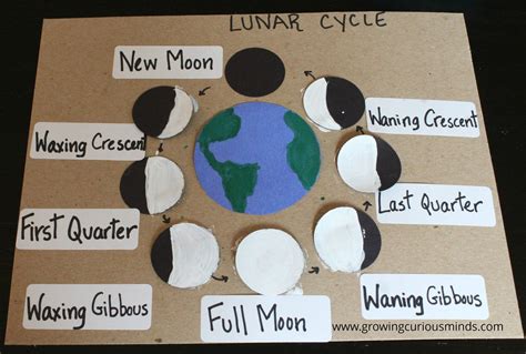 Learning The Phases Of The Moon For 5th Phases Of The Moon 5th Grade - Phases Of The Moon 5th Grade