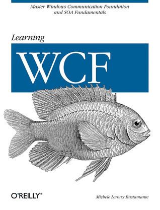 learning wcf a hands on guide