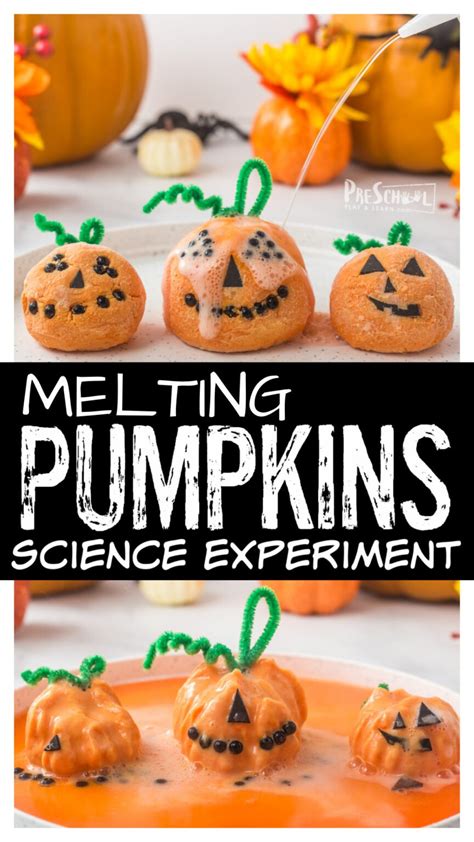 Learning With Pumpkins Science Experiments For Little Ones Pumpkin Science Experiments - Pumpkin Science Experiments