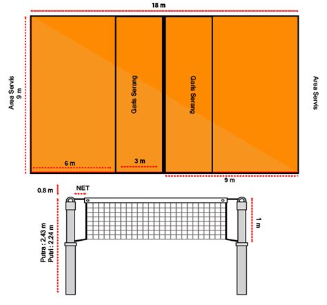 LEBAR LAPANGAN VOLI - Berapa Tinggi Net Putra dan Putri dalam Bola Voli?