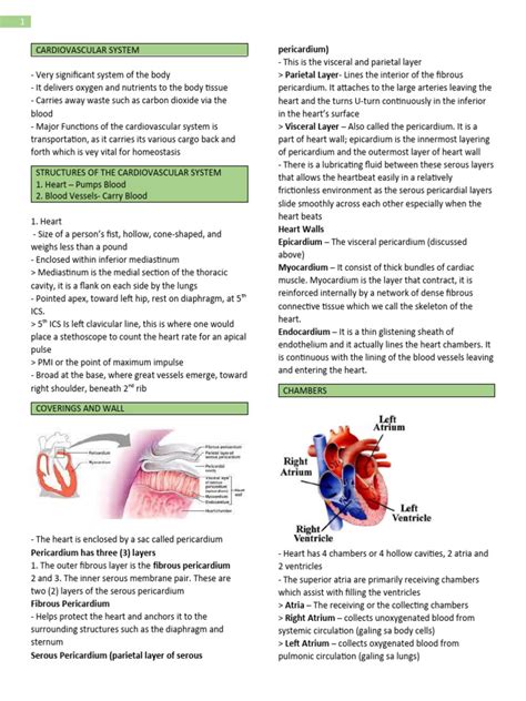 Lecture Notes Cardiology Pdfslibforme
