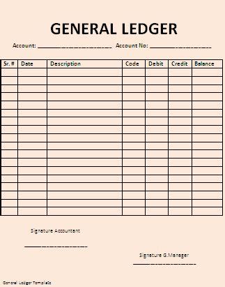 Ledger Book Format